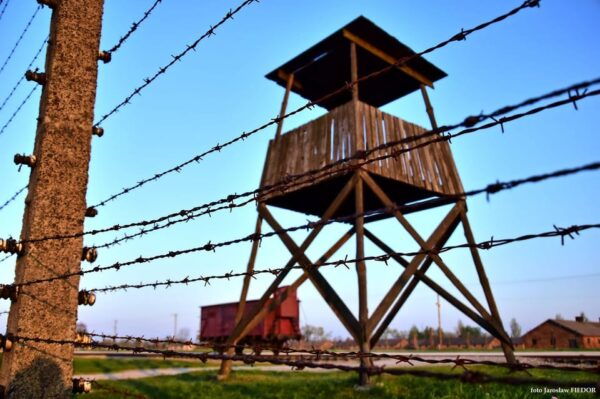 Krakow: Auschwitz-Birkenau Extended Guided Tour & Options - Cancellation Policy