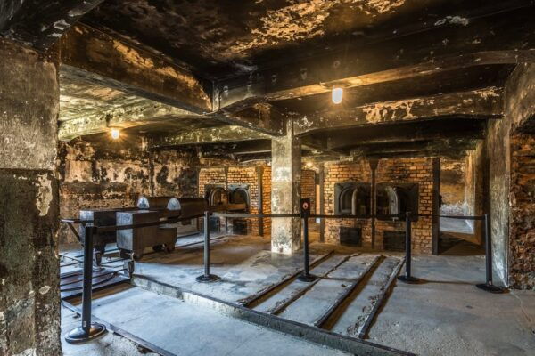 Krakow: Auschwitz-Birkenau Extended Guided Tour & Options - Customer Feedback