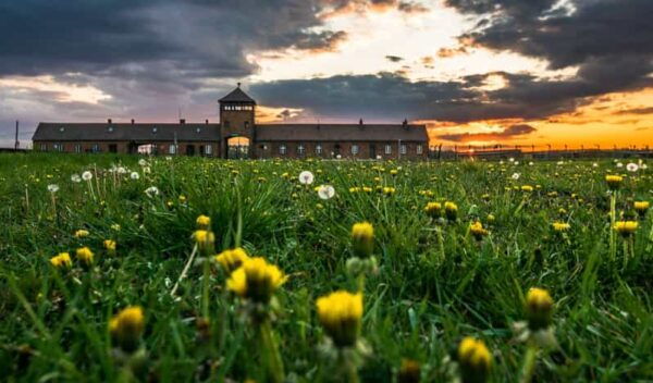 Krakow: Auschwitz-Birkenau Extended Guided Tour & Options - Tour Booking Requirements