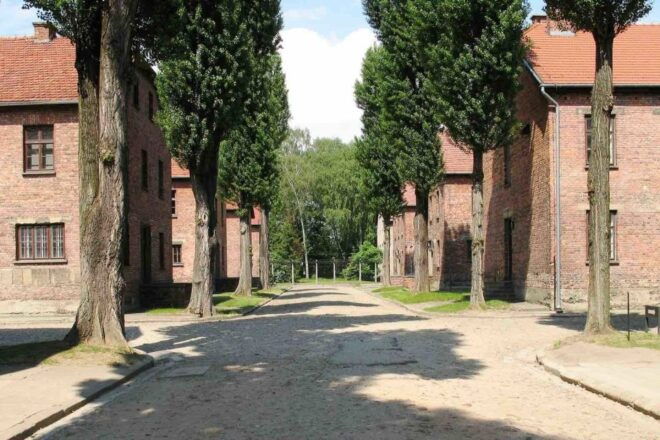 Krakow: Auschwitz-Birkenau Fully Guided Tour & Pickup Option - Language Options and Guides