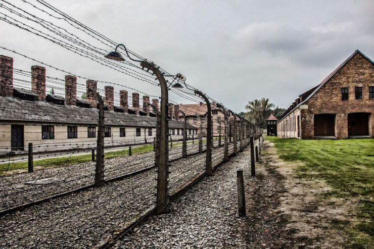 Kraków: Auschwitz-Birkenau Guided Tour & Private Transport - Tour Highlights