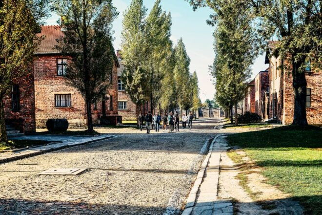 Krakow: Auschwitz-Birkenau Guided Tour With Transportation - Restrictions and Requirements