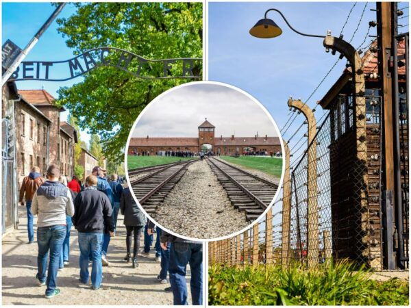 Krakow: Auschwitz-Birkenau Guided Tour With Transportation - Group Size Limit