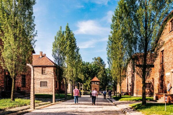 Krakow: Auschwitz-Birkenau Guided Tour With Transportation - Customer Feedback Highlights