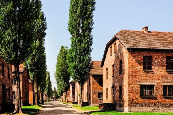 Krakow: Auschwitz-Birkenau Guided Tour With Transportation - Frequently Asked Questions