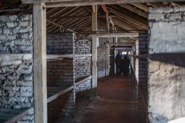 Krakow: Auschwitz Birkenau Last Minute Tour-Next Day Booking - Pickup and Transportation