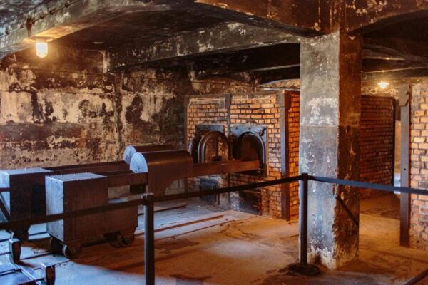 Krakow: Auschwitz Birkenau Last Minute Tour-Next Day Booking - Frequently Asked Questions