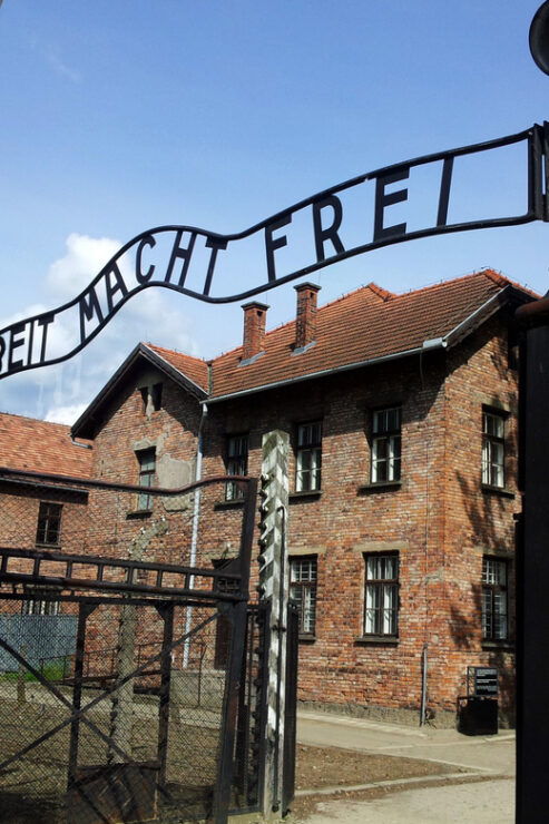 Krakow: Auschwitz-Birkenau Memorial Tour With Optional Lunch - Itinerary and Experience
