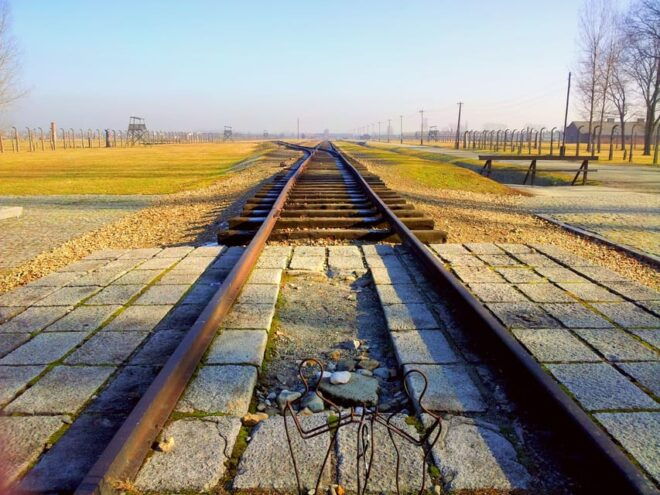 Krakow: Auschwitz-Birkenau Memorial Tour With Optional Lunch - Customer Reviews and Feedback