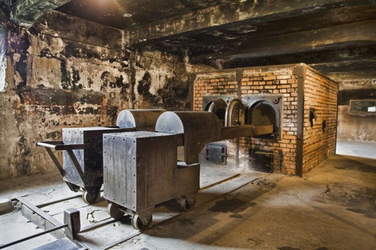 Krakow: Auschwitz-Birkenau Memorial Tour With Optional Lunch - Customer Reviews