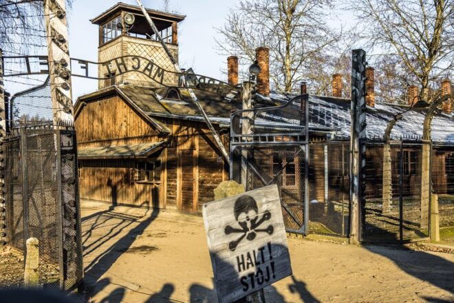 Kraków: Auschwitz-Birkenau Private Tour & Transportation - Transportation and Comfort