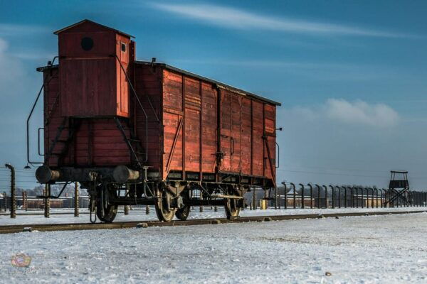 Kraków: Auschwitz-Birkenau Private Tour & Transportation - Important Recommendations