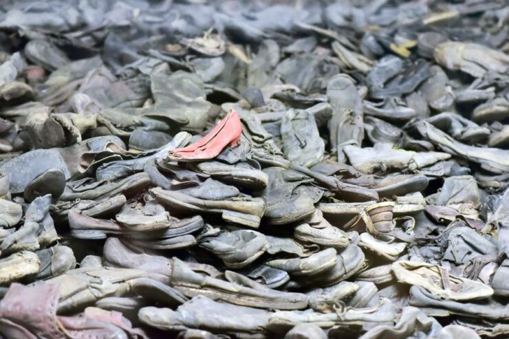 Krakow: Auschwitz Guided Tour With Pickup and Optional Lunch - Booking Information