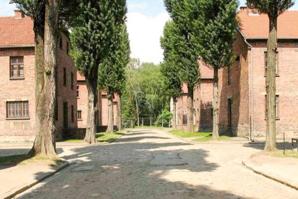 Krakow: Auschwitz & Wieliczka Salt Mine Guided Day Tour - Tour Availability and Pricing