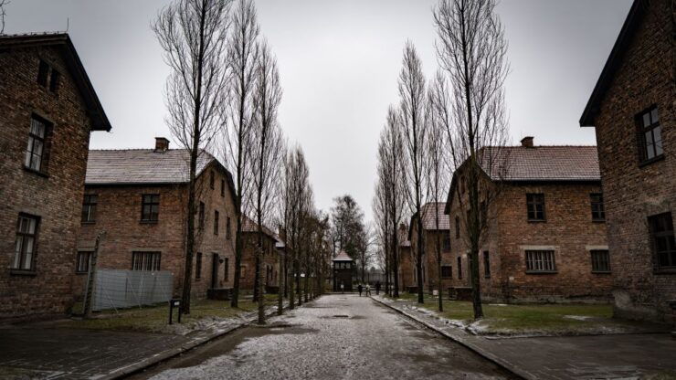 Krakow: Auschwitz & Wieliczka Salt Mine Guided Day Tour - Tour Highlights