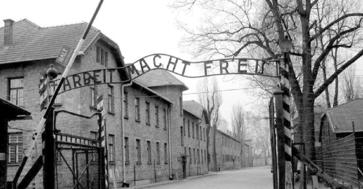 Krakow Experience: Airport Transfers, Auschwitz & Salt Mine - Activity Details