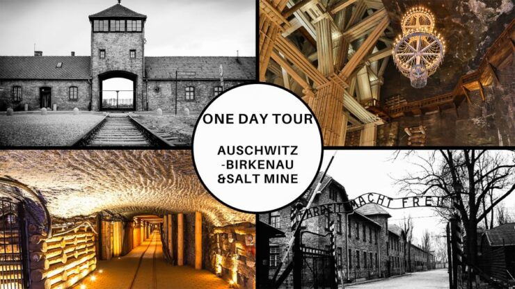 Krakow: Full-Day Auschwitz-Birkenau & Salt Mine Guided Tour - Tour Highlights and Itinerary