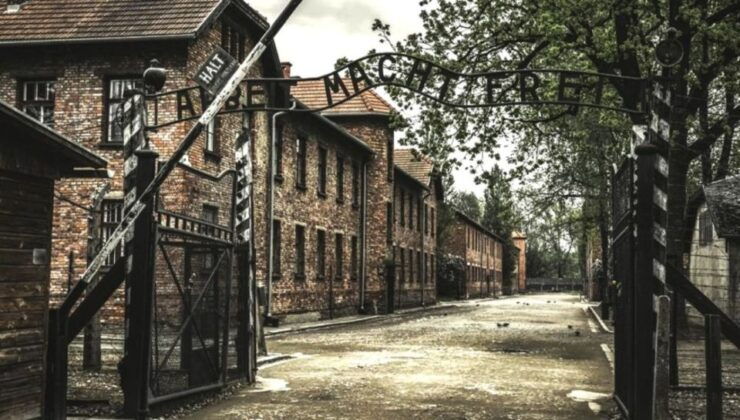 Krakow: Group Auschwitz and Salt Mine Tour - Activity Highlights and Itinerary
