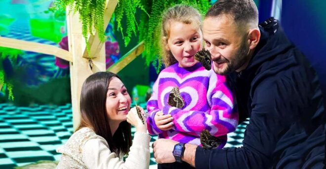 Krakow: Living Butterflies Museum - Guided Tours