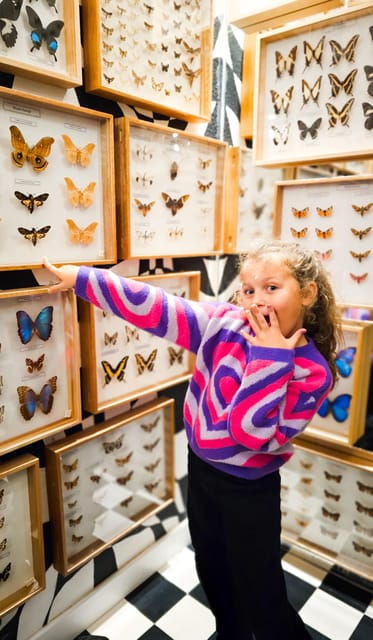 Krakow: Museum of Living Butterflies 2+2 - Is This Tour Worth It?
