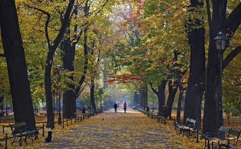 Krakow: Old Town "Royal Route" Walking Tour - Good To Know