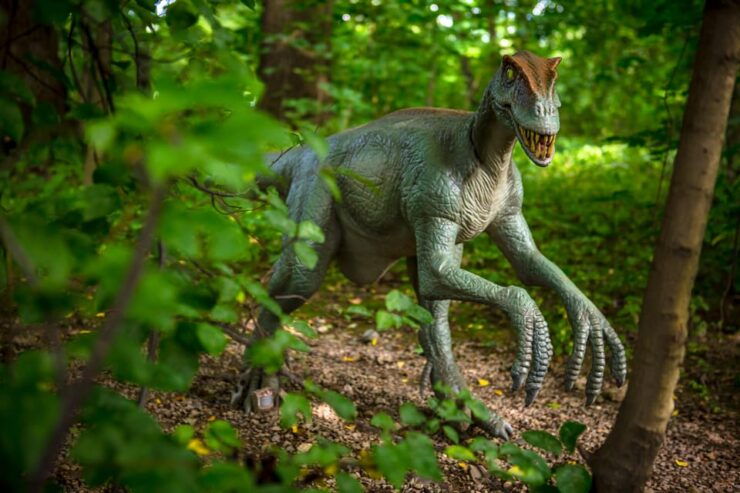 Krakow: Park of Moving Dinosaurs - Amusement Park - Day Tour - Itinerary and Transportation