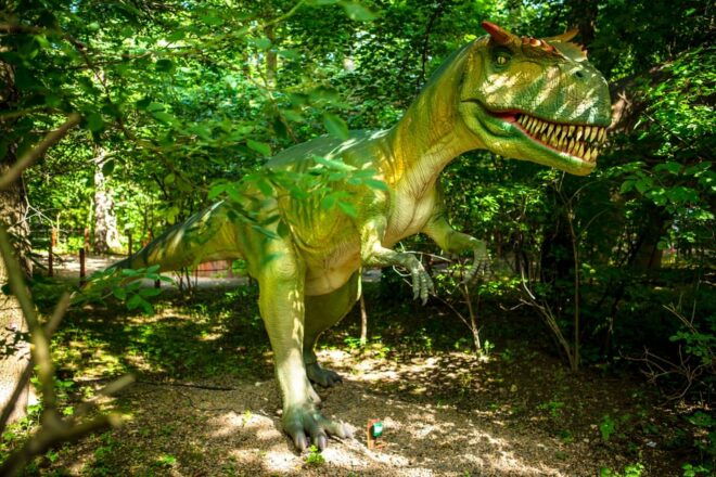 Krakow: Park of Moving Dinosaurs - Amusement Park - Day Tour - Inclusions and Amenities