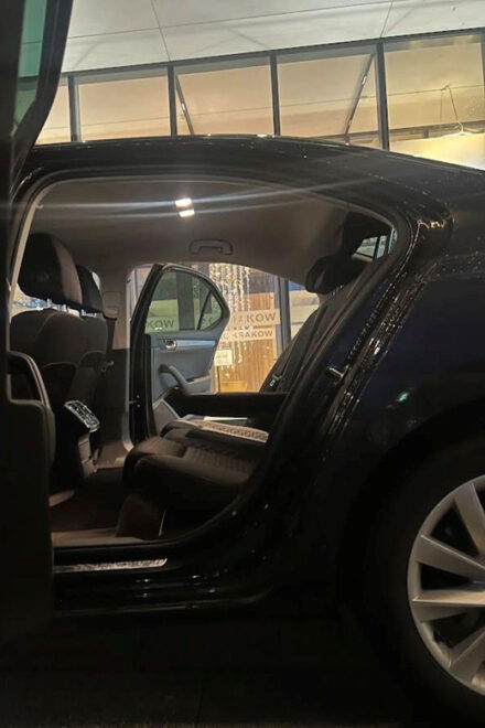Krakow: Private 1-Way Transfer To/From Krakow Airport (Krk) - Driver and Vehicle Details