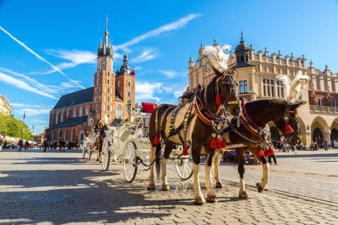Krakow: Private Airport Transfer - Wheelchair Accessibility
