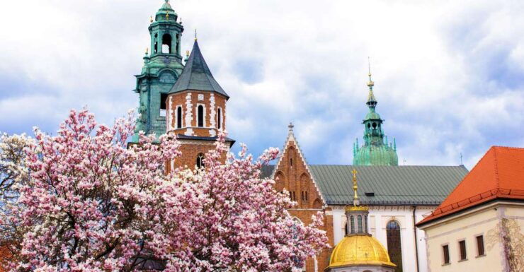 Krakow: Private Architecture Tour With a Local Expert - Tour Booking Details