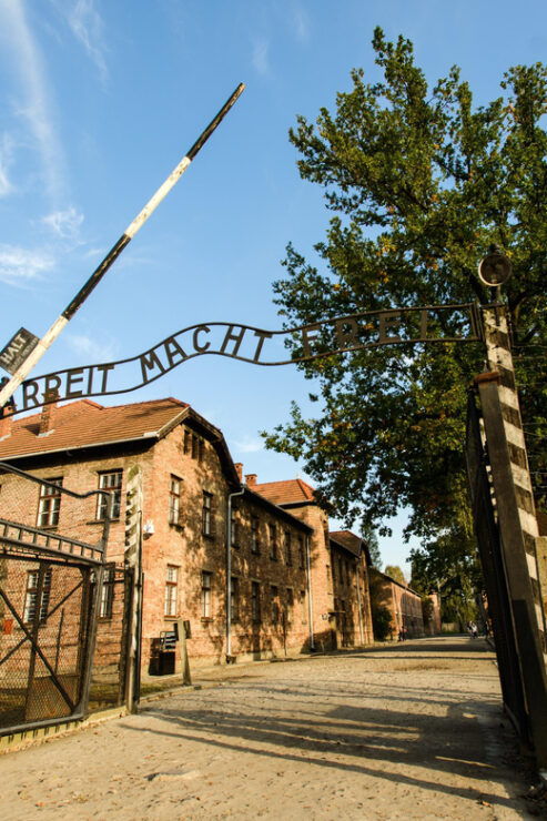 Kraków: Private Transport to the Auschwitz-Birkenau Museum - Pricing and Availability