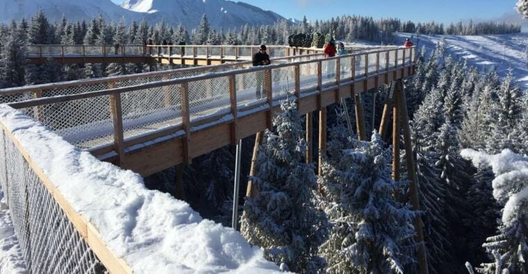 Krakow: Slovakia Treetop Walk & Zakopane Tour (Hotel Pickup) - Cross-Border Scenic Drive