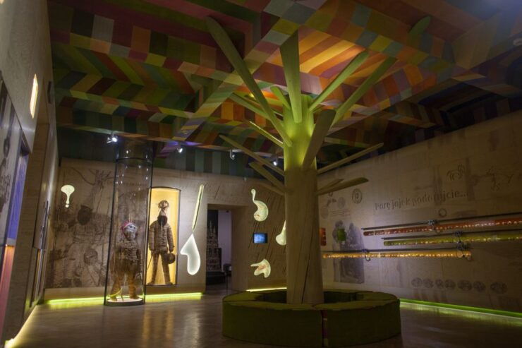 Krakow: the Ethnographic Museum Ticket - Good To Know