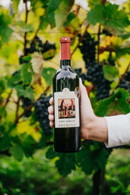 Krakow: Vineyard Tour with Wine Tasting and Dinner - The Sum Up