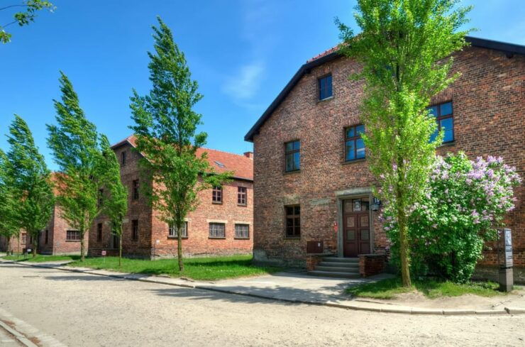 Krakow: Wieliczka Salt Mine and Auschwitz-Birkenau Tour - Key Points