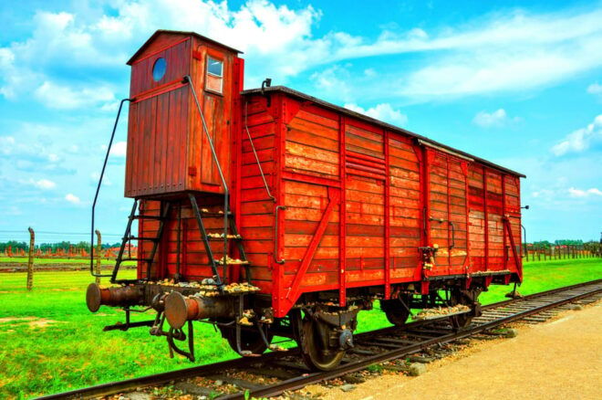 Krakow: Wieliczka Salt Mine and Auschwitz-Birkenau Tour - Inclusions and Transportation