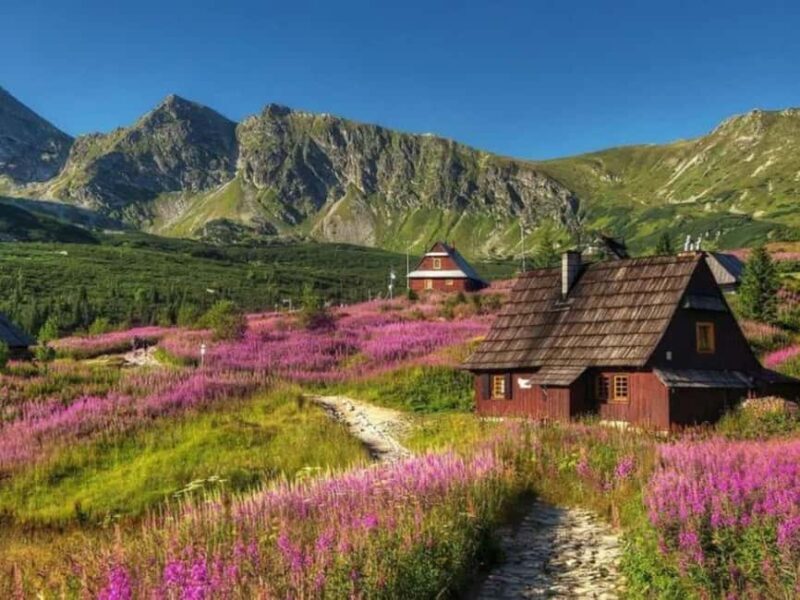 Krakow: Zakopane, Morskie Oko, and Cheese Tasting Tour - Who Is This Tour Perfect For?