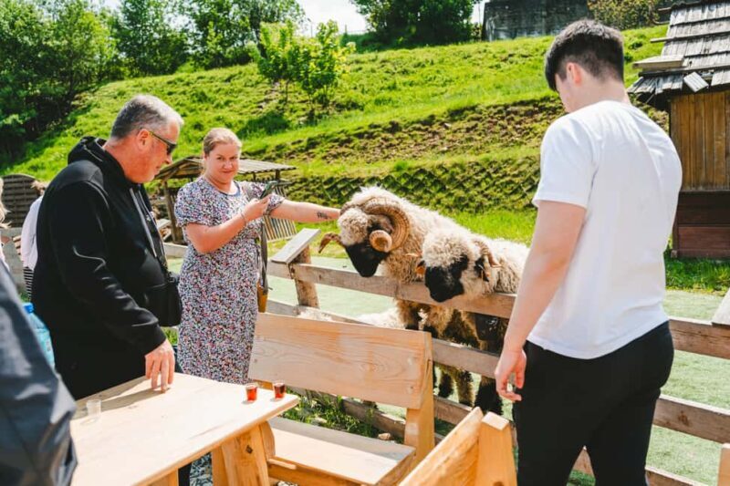 Krakow: Zakopane Tour, Hot Springs, Cable Car & Hotel Pickup - Detailed Breakdown of the Itinerary