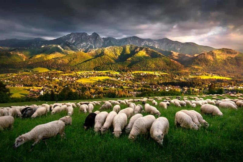 Krakow: Zakopane Trip with Thermal Pools & Hotel Pick-up - Authentic Insights from Travelers