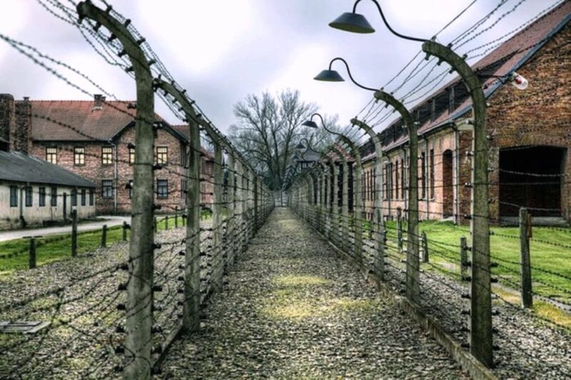 Krakow:Guided Auschwitz-Birkenau Tour - Transport by Minivan - Final Thoughts: Who Is This Tour Best For?