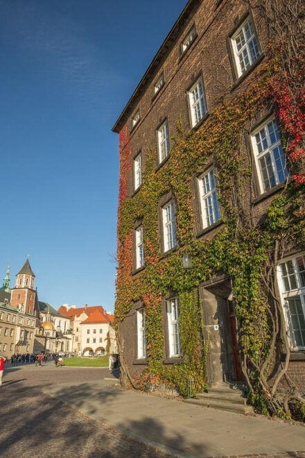 Krakows Wawel Cathedral, Old Town & City Basilica Tour - Meeting Point