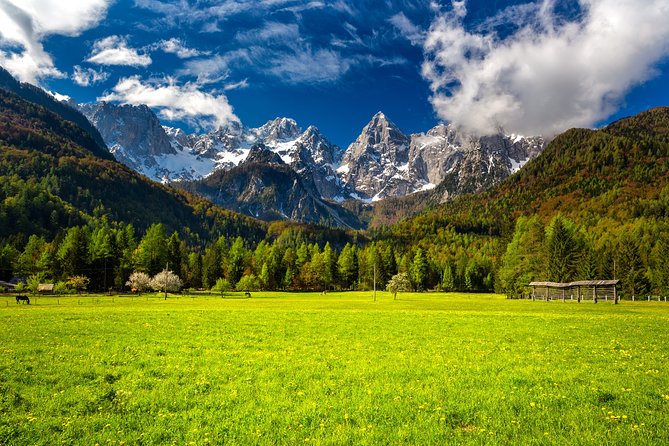 Kranjska Gora Mountain Biking - Expectations and Requirements