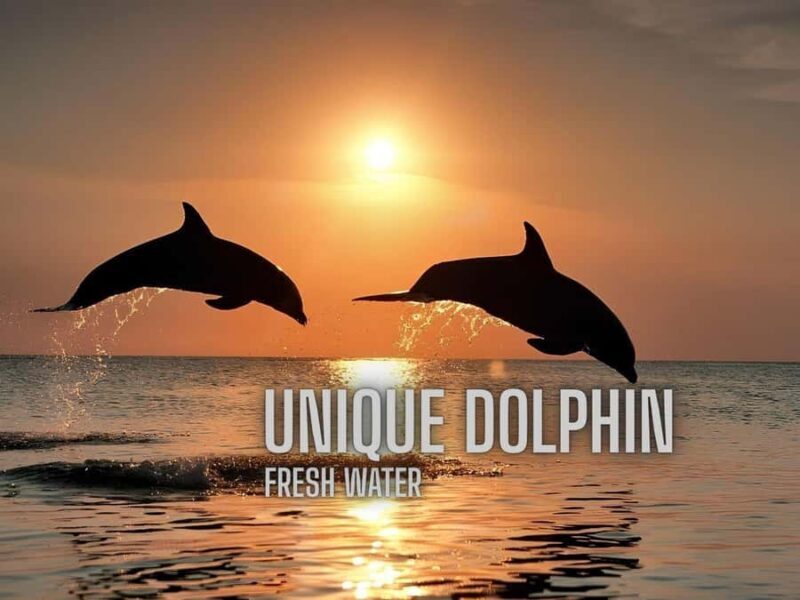 Kratie Dolphin Tour: Mekong Boat Trip, Villages & Sunset - What to Expect from the Tour