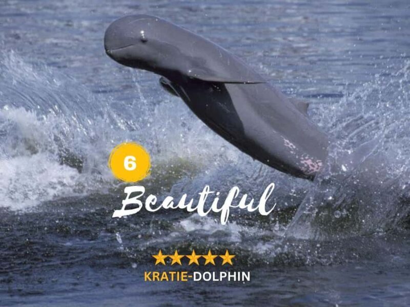 Kratie Dolphin Tour: Mekong Boat Trip, Villages & Sunset - Value & Price Analysis