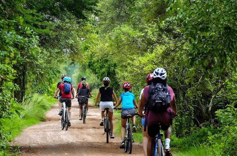 Kratie: Koh Trong Island Cycle Tour with Snacks - Who Should Consider This Tour?