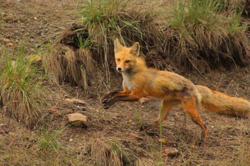 Kremmling: Colorado River Rafting With Hot Springs - Good To Know