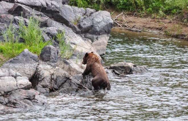 Kremmling: Upper Colorado Half-Day Guided Float - Meeting Point