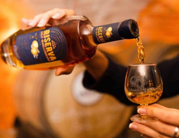 Krems: Exclusive Tour of Bailoni 1st Wachau Apricot Distillery - Experience