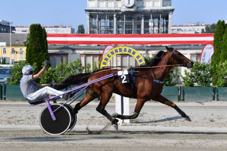 Krieau Historical Grandstand Tour Incl. Race Day - Experience the World of Harness Racing