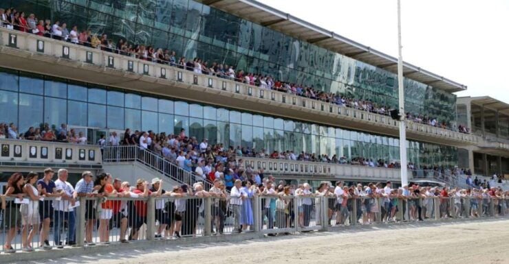 Krieau Historical Grandstand Tour Incl. Race Day - Marvel at the Architectural Features